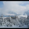 20060312_017